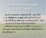 แจ้งการตัดแต่งกิ่งไม้ - หญ้า