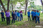 บรรยากาศโครงการตัดแต่งไม้ต้นในงานภูมิทัศน์